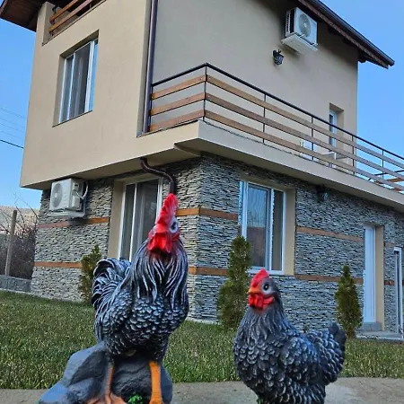 доброво Dobrovo