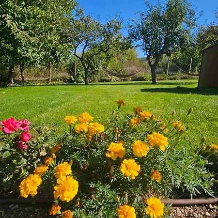 доброво Dobrovo