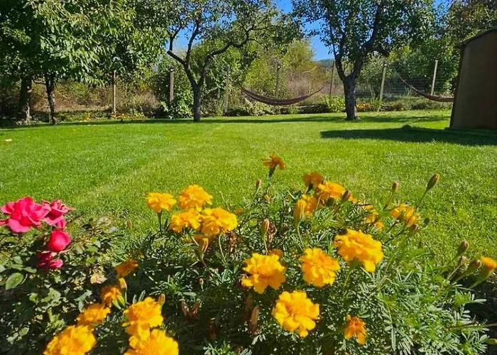 доброво Dobrovo